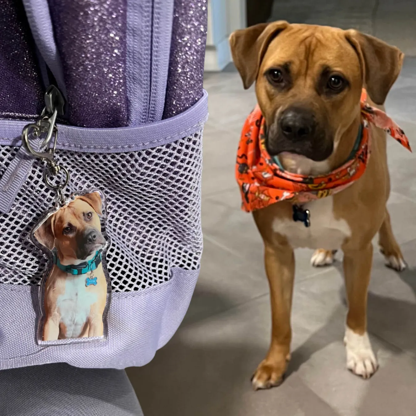 Select to view 'Custom Photo Keychains' image